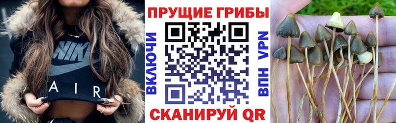 Псилоцибиновые грибы мухоморы  Спас-Деменск 